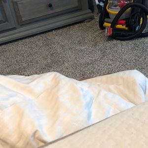 Meet your Posher, Morgan